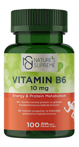 NATURE'S SUPREME VİTAMİN B6 100 KAPSÜL