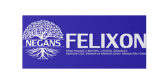 Felixon